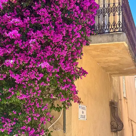 Newly Renovated - Heart Of Le Suquet Apartamento Cannes